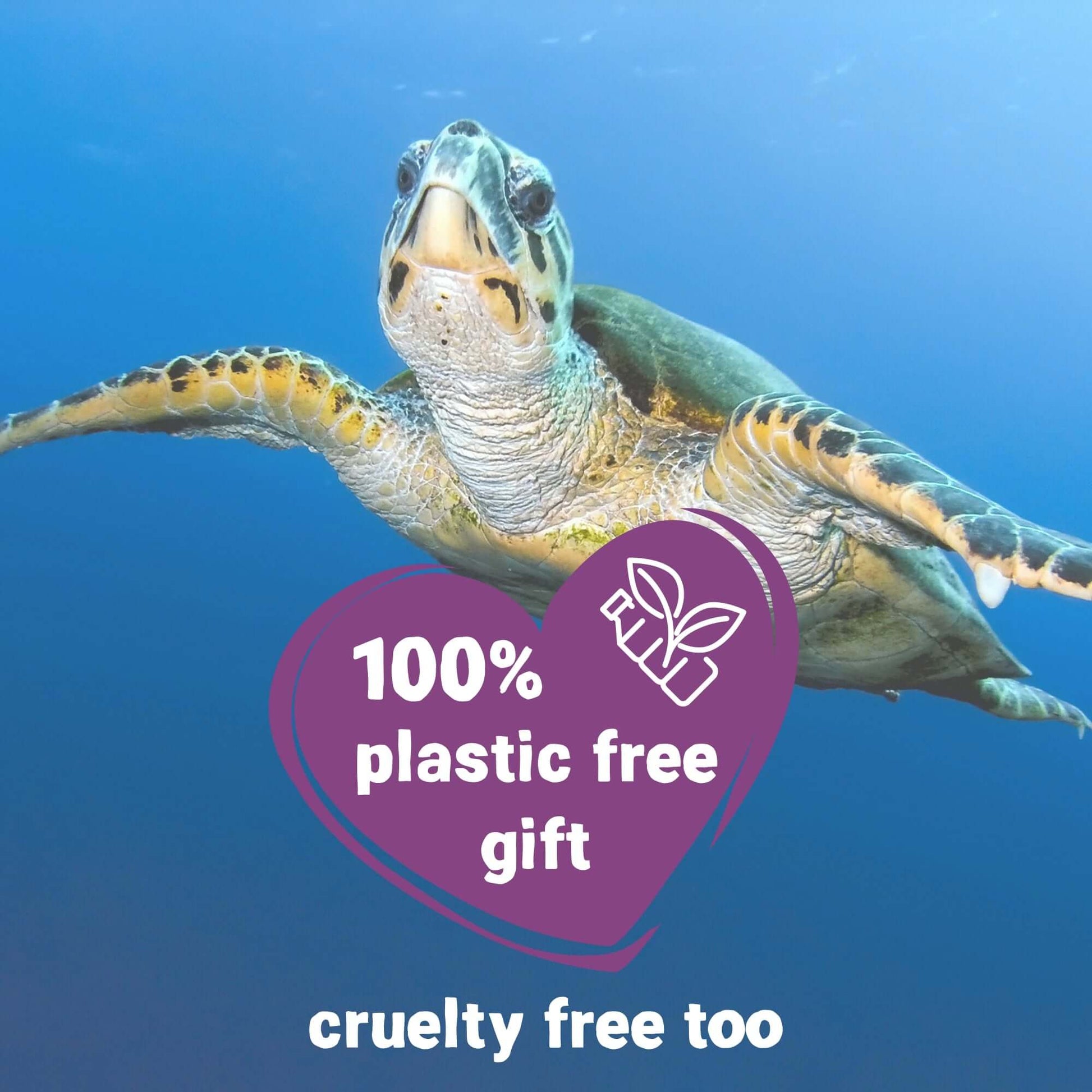 plastic free & cruelty free skincare gift 