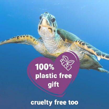 plastic free, sustainable birthday gift 