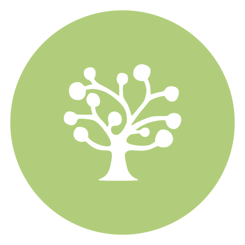 Fruits of the Nut Tree