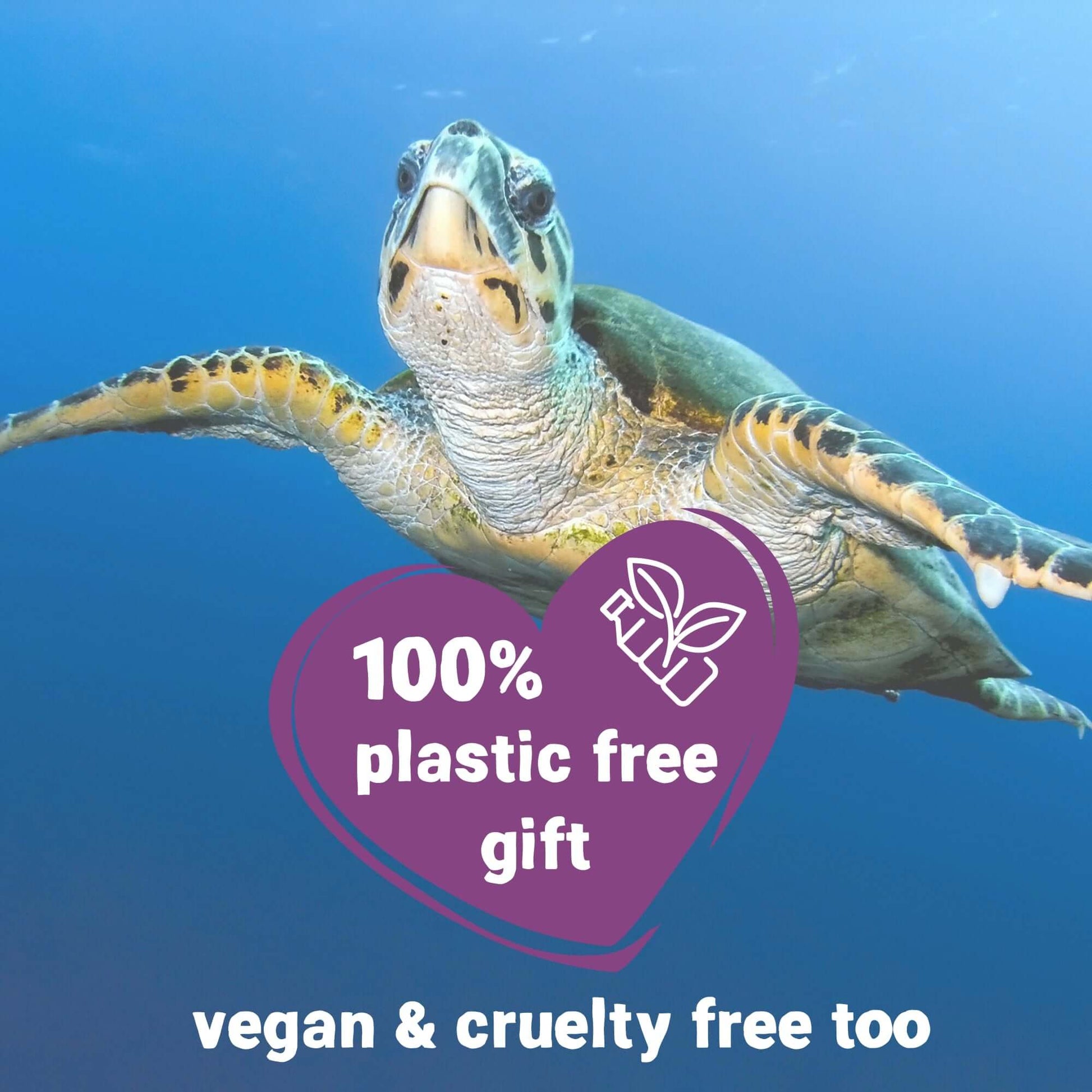 plastic free and vegan thinking of you gift