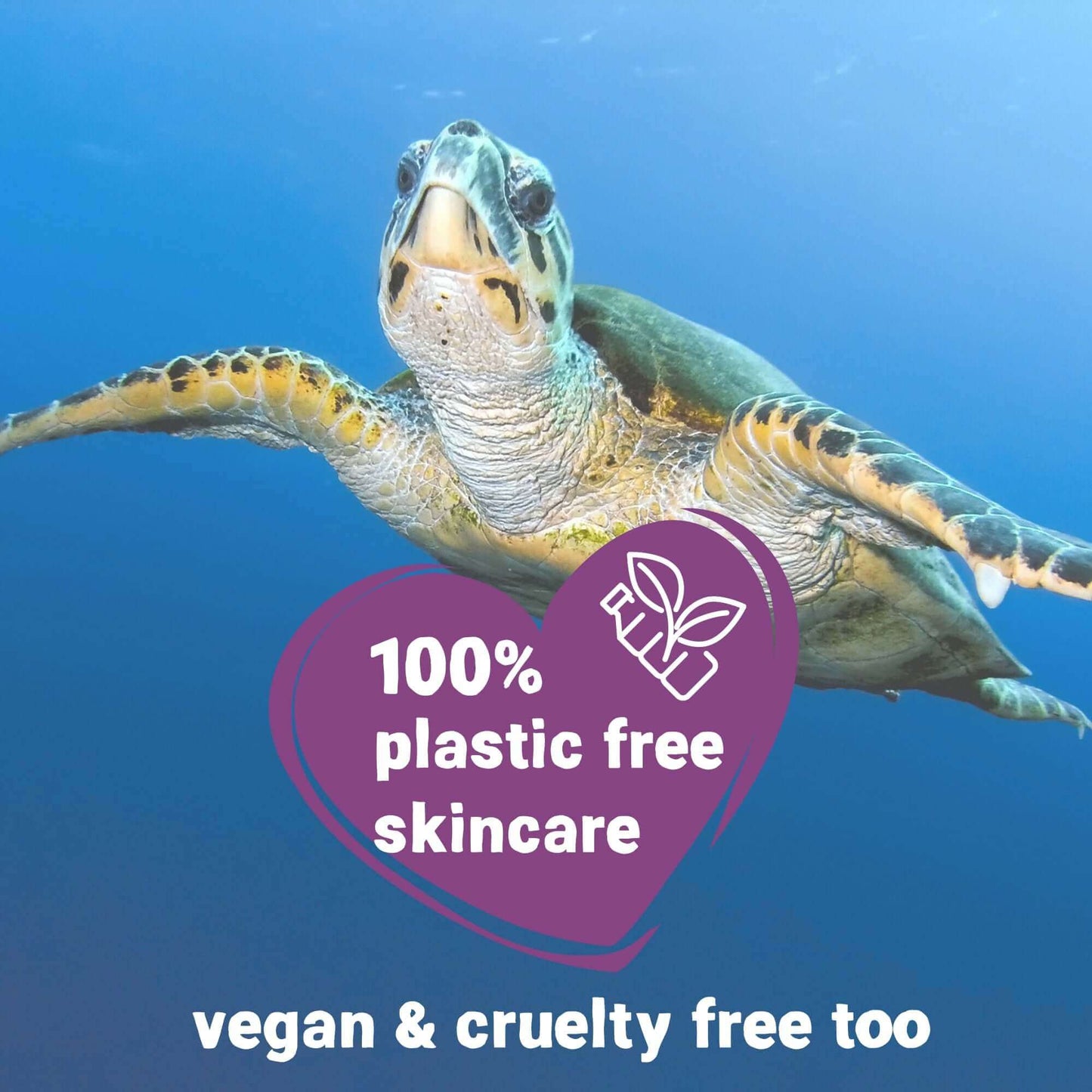 plastic free, vegan, eco-friendly skincare kit